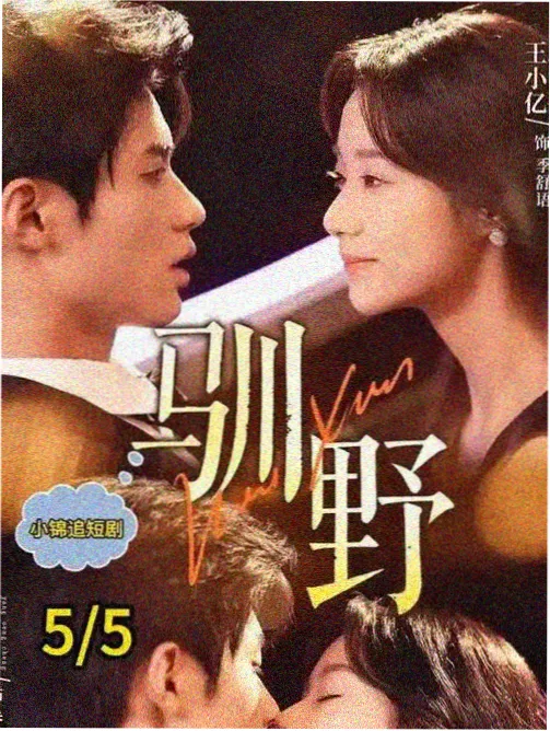 日剧韩剧在线观推荐的职场群像剧海报